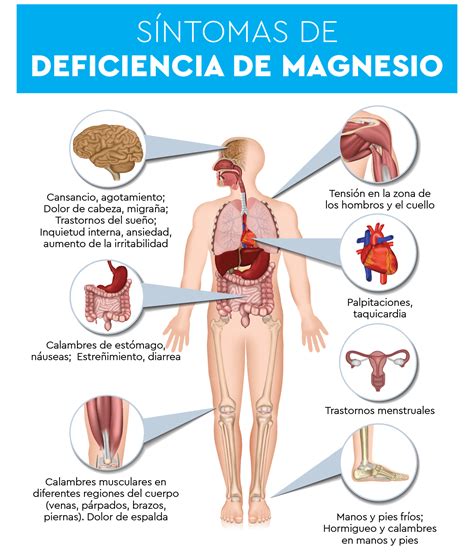Espasmos Musculares Durante O Sono - Espasmos Musculares al Dormir: ¿por qué sucede?
