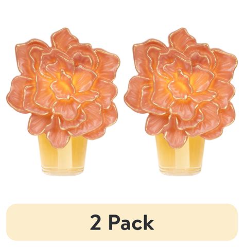 (2 pack) Better Homes & Gardens Aroma Accent Fragrance Plug, Gilded