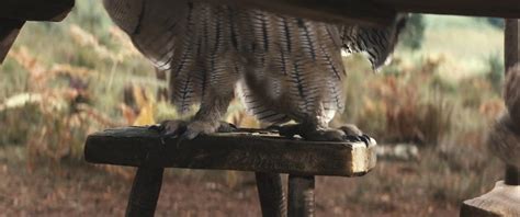 Christopher Robin Owl Feet By Giuseppedirosso On Deviantart