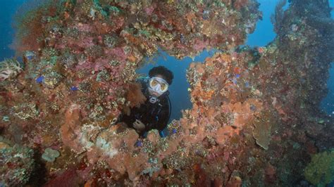 Travel The Naked Traveler