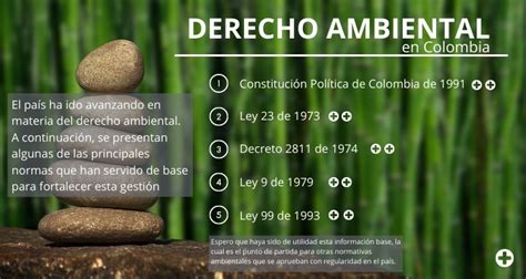 Principios Del Derecho Ambiental En Colombia Image To U