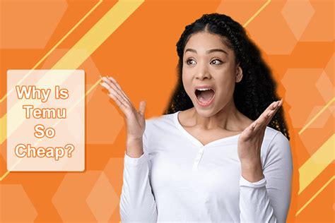 ¿Por qué Temu es tan barato? ¿Son buenos los productos Temu