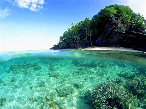 viti levu alchetron   social encyclopedia