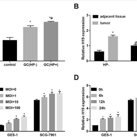 MiR145 Is A Target Of LncRNA PVT1 A Subcellular Location Of LncRNA