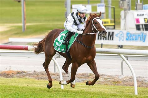 Victorian Horses To Follow