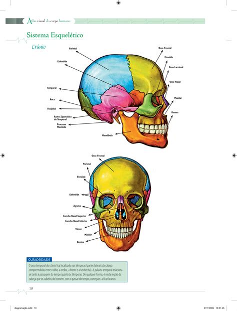 Atlas Do Corpo Humano Pdf - Anatomia - Atlas Visual do Corpo Humano.PDF