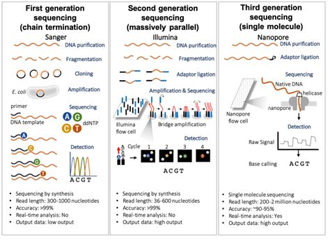 Schematic Representation Of First Second And Third Generation