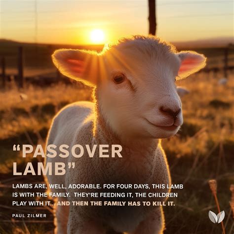 Passover Lamb — Williamsburg Christadelphian Foundation