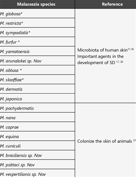 Taxonomic Classification Of The Genus Malassezia Download Scientific