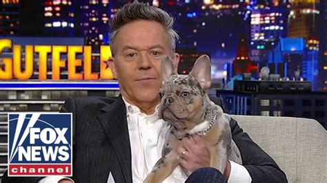 Gutfeld Can GOP Candidates Pass The Gus Test The Global Herald