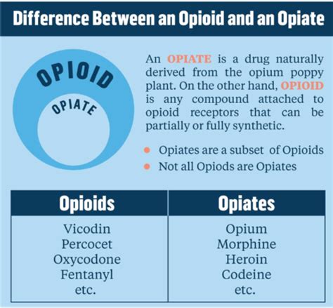 Lecture 12 Opioids Flashcards Quizlet