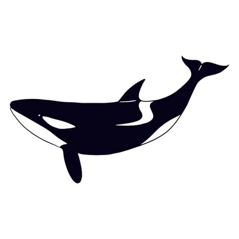 Diseños Png De Orca Para Camisetas And Merch