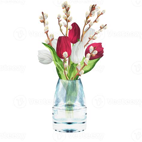 Hand Drawn Watercolor Illustration Flower Bouquet With White And Red Tulips Pussy Willow