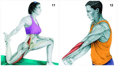 36 Pictures To See Which Muscle You're Stretching - LifeHack