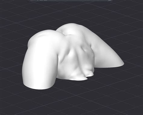 Pussy And Ass STL File For D PrintingCults