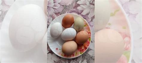 Домашние куриные яйца купить в Дивеево | Товары для дома и дачи | Авито