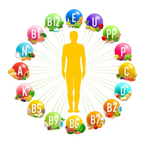 Circulo Infografia Con Humano Cuerpo Y Vitaminas 23510589 Vector En