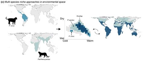 Biodiversity Patterns Redefined in Environmental Space - Elisa Barreto