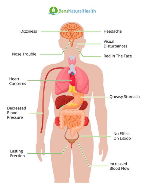 Viagra Side Effects: The Adverse Reactions in Men | Ben's Natural Health