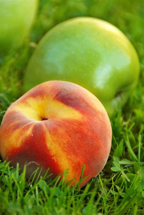 Apple and peach stock photo. Image of nature, ripe, autumn - 11471154