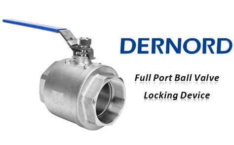 Amazon DERNORD Stainless Steel 304 Ball Valve 2 Piece Full Port