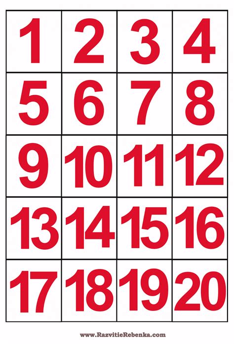 Цифры От 1 До 20 Фото — Скачать фото