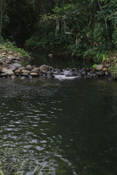 Water Oasis Sea - Free photo on Pixabay - Pixabay