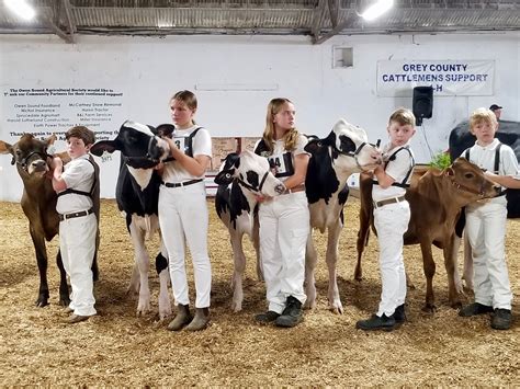 Owen Sound Sun Times obits celebrate the lives of local residents 20