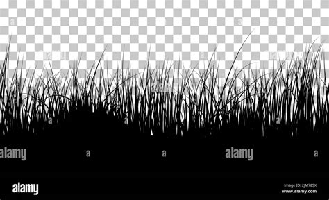 Meadow Grass Seamless Background Cute Clean And Smooth Meadow Grass
