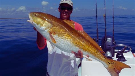 🐟 Florida East Coast Fishing Report Today 🎣 June 2025