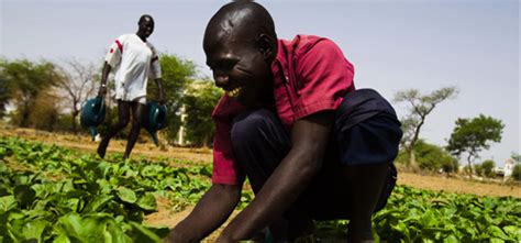 EU Provides Extra 9 Million To Support FAO S Work Promoting Nature