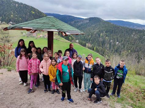 skola  prirodi  os sveti sava kikinda