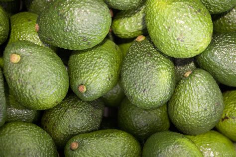 Cultivo de palta Hass crecerá cerca de 23 en volumen