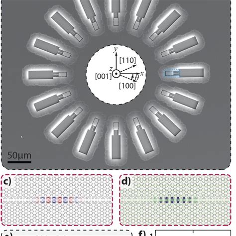(a) and (b) Scanning Electron Microscopy (SEM) images of a single and a ...