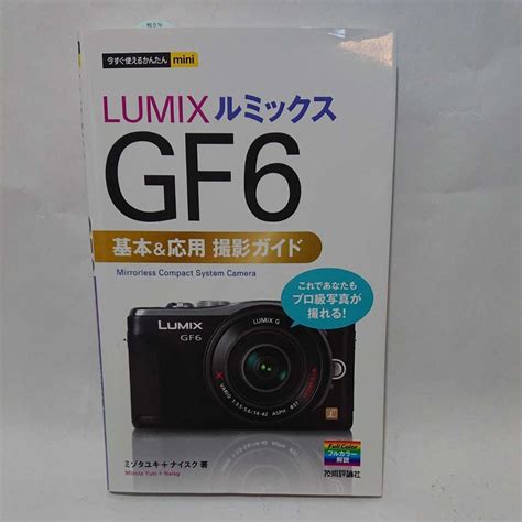 Panasonic Lumix Gf Dmc Gf