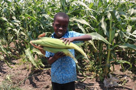 Why Is Malawi Poor Orant Charities Africa