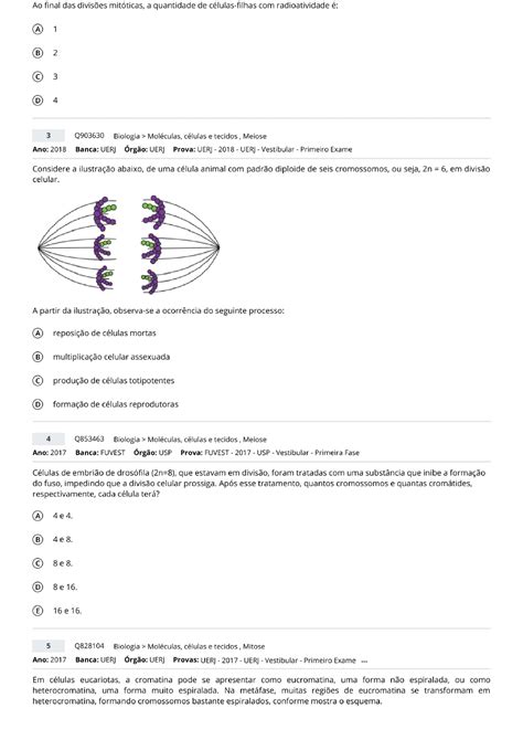 Questões Mitose E Meiose - BINKEDU