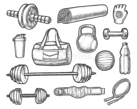 Vector Sketch of Gym, Aerobics, Powerlifting Equipment Stock Vector ...