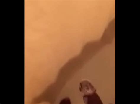 Looking For Some Good Pussy XVIDEOS