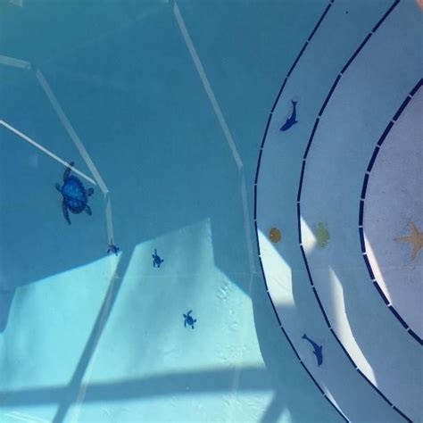 Blue Sea Turtle Pool Mosaic Mosaic Pool Swimming Pool Mosaics