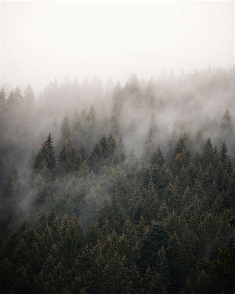 landscape desktop wallpaper amoled free download 6