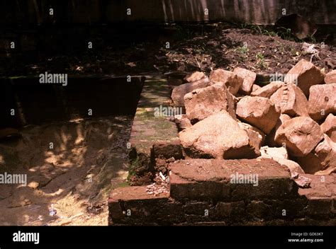 types  clay stock photo alamy