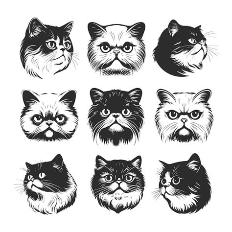 Premium Vector Vector Portraits Of Shorthaired Exotic Cats