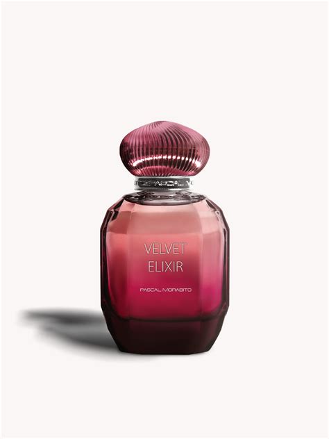 Velvet Elixir Pascal Morabito