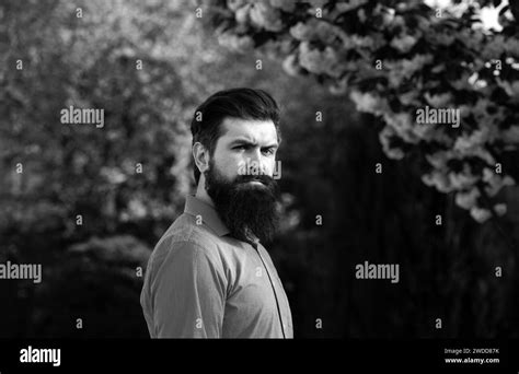 Blonde Gay Man Hi Res Stock Photography And Images Alamy