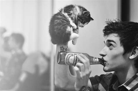 You Probably Look Better Naked Anyway Meoow