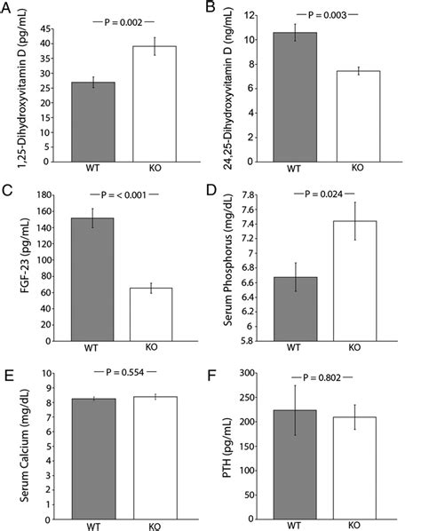 A Serum Concentrations Of 1α 25 Dihydroxyvitamin D In Wt N 11 And Download Scientific