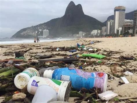 Doenças Causadas Por Areia Contaminada - Areia de praia contaminada: como saber? | The Summer Hunter - The ...