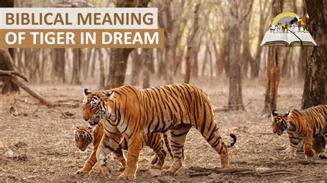 Biblical Meaning Of Tiger In Dreams