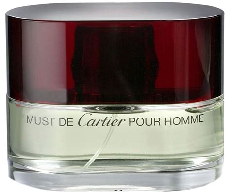 Картье Маст де Картье пур Ом Туалетная вода 100мл | Nutribullet blender ...